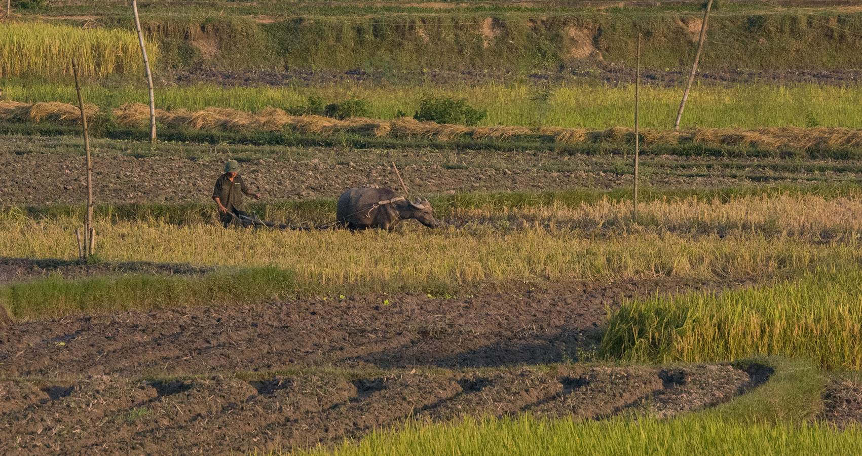 Ha Chiang   Retour Hanoi   005